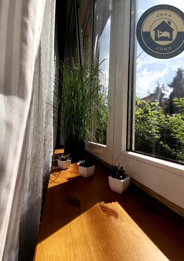 Juna - Nowoczesny Apartament W Centrum Z Widokiem Na Park Pruszkow Ngoại thất bức ảnh